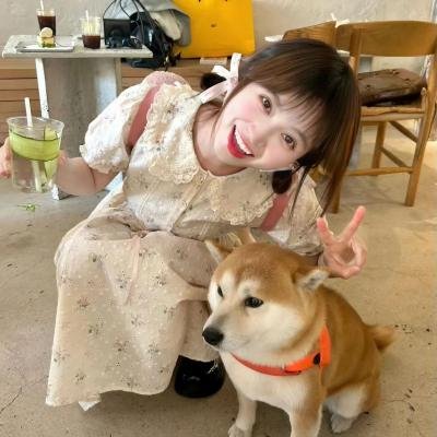 新游记